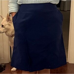 Sara Campbell Deep Blue Pencil Skirt